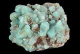 Amazonite Crystal Cluster - Colorado #129665-1